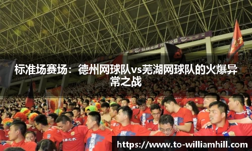标准场赛场：德州网球队vs芜湖网球队的火爆异常之战